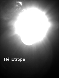 pochette Heliotrope - live